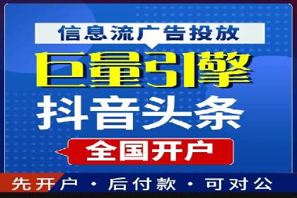 竞价广告的智能投放：XX平台的创新实践
